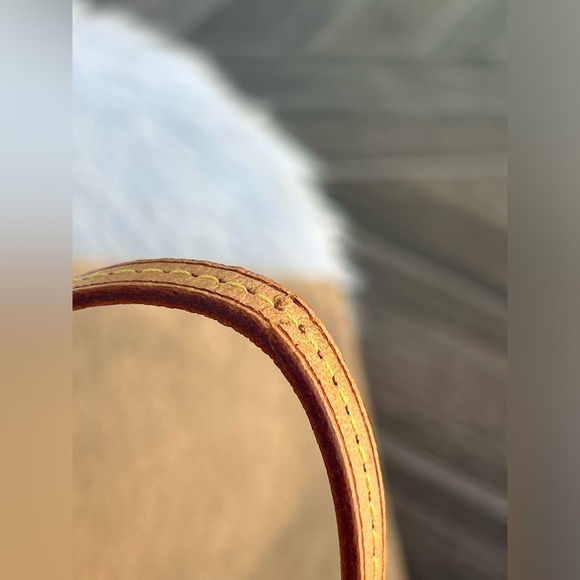 Louis Vuitton Monogram Partition Clutch/Wrislet Bag - Picture 7 of 16